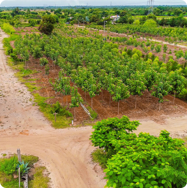 Farm land in Bangalore